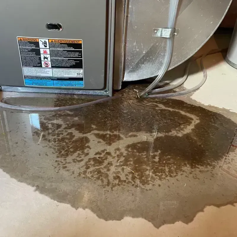 Appliance Leak Cleanup in Hot Sulphur Springs, CO